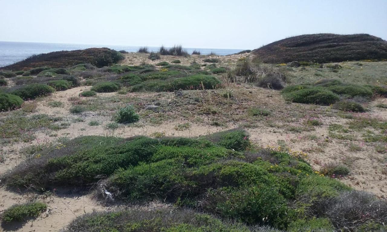 B&B Letizia Marina di Lizzano Εξωτερικό φωτογραφία
