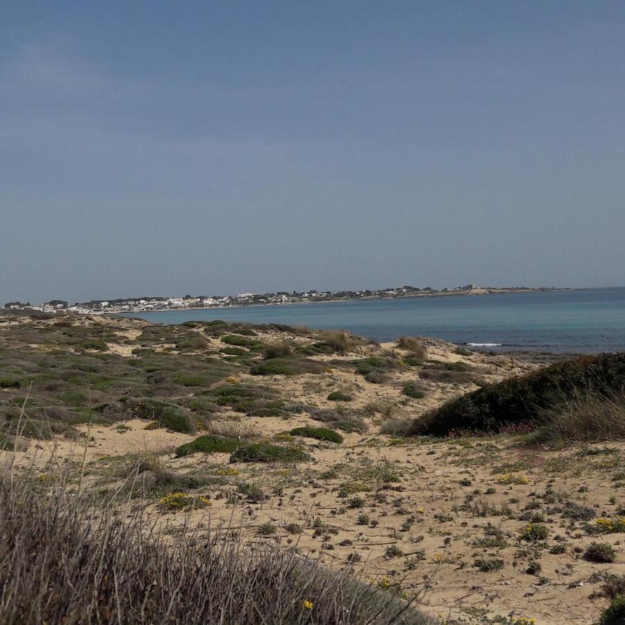 B&B Letizia Marina di Lizzano Εξωτερικό φωτογραφία