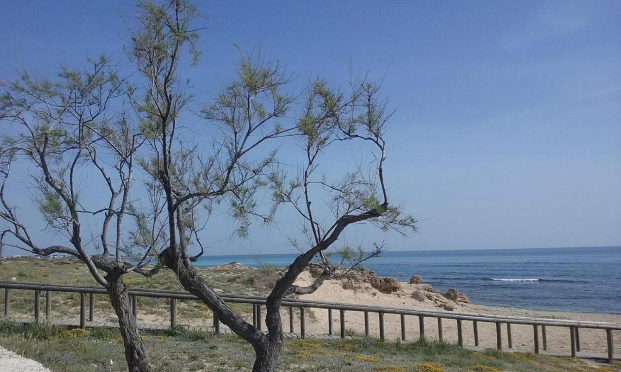 B&B Letizia Marina di Lizzano Εξωτερικό φωτογραφία
